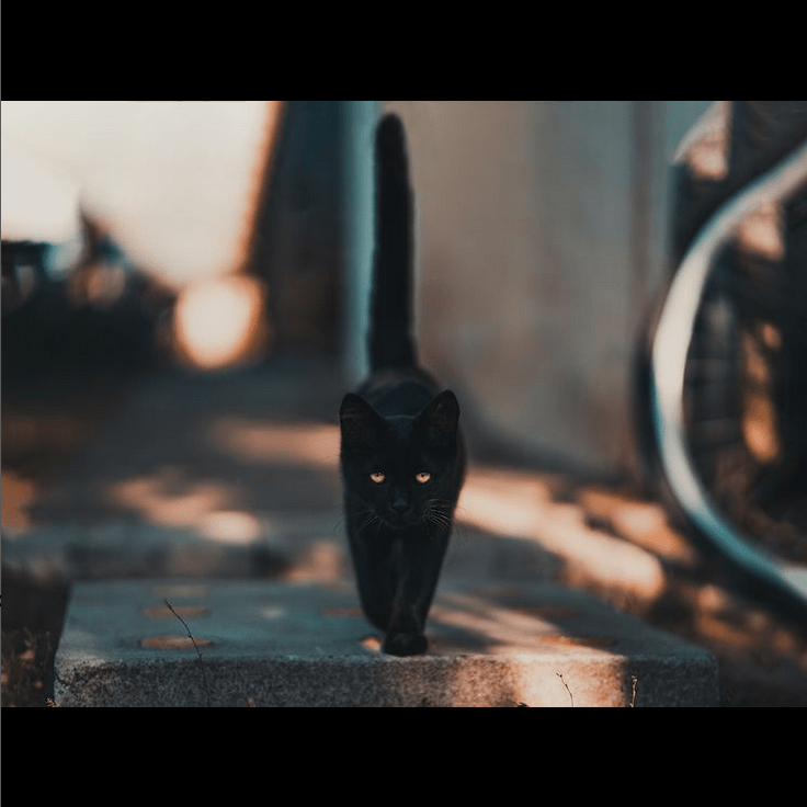 Superstition en couture