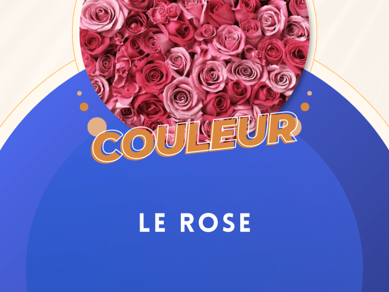 Le rose