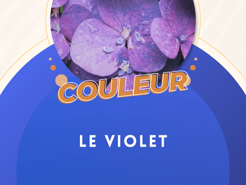 Le violet